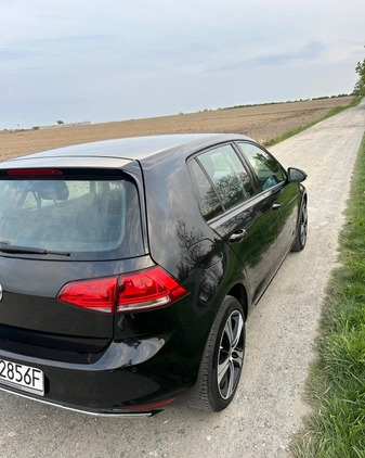 Volkswagen Golf cena 33700 przebieg: 187000, rok produkcji 2014 z Jaworzno małe 37